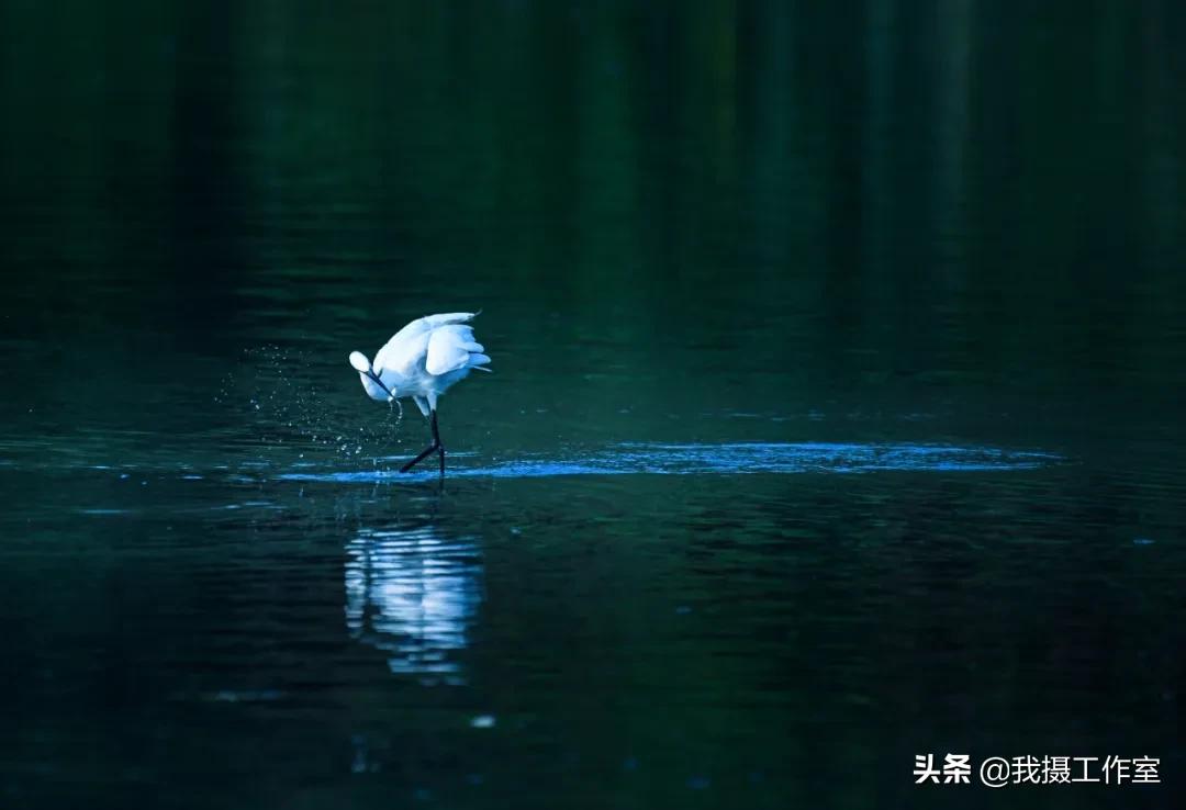 第16届国际摄影艺术展获奖作品,第29届全国摄影艺术展览作品集