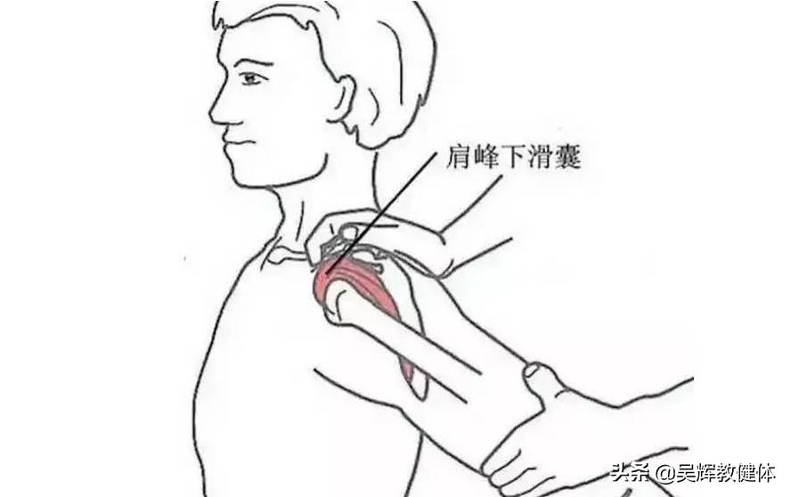 背阔肌练宽黄金动作,高效练背部两侧背阔肌