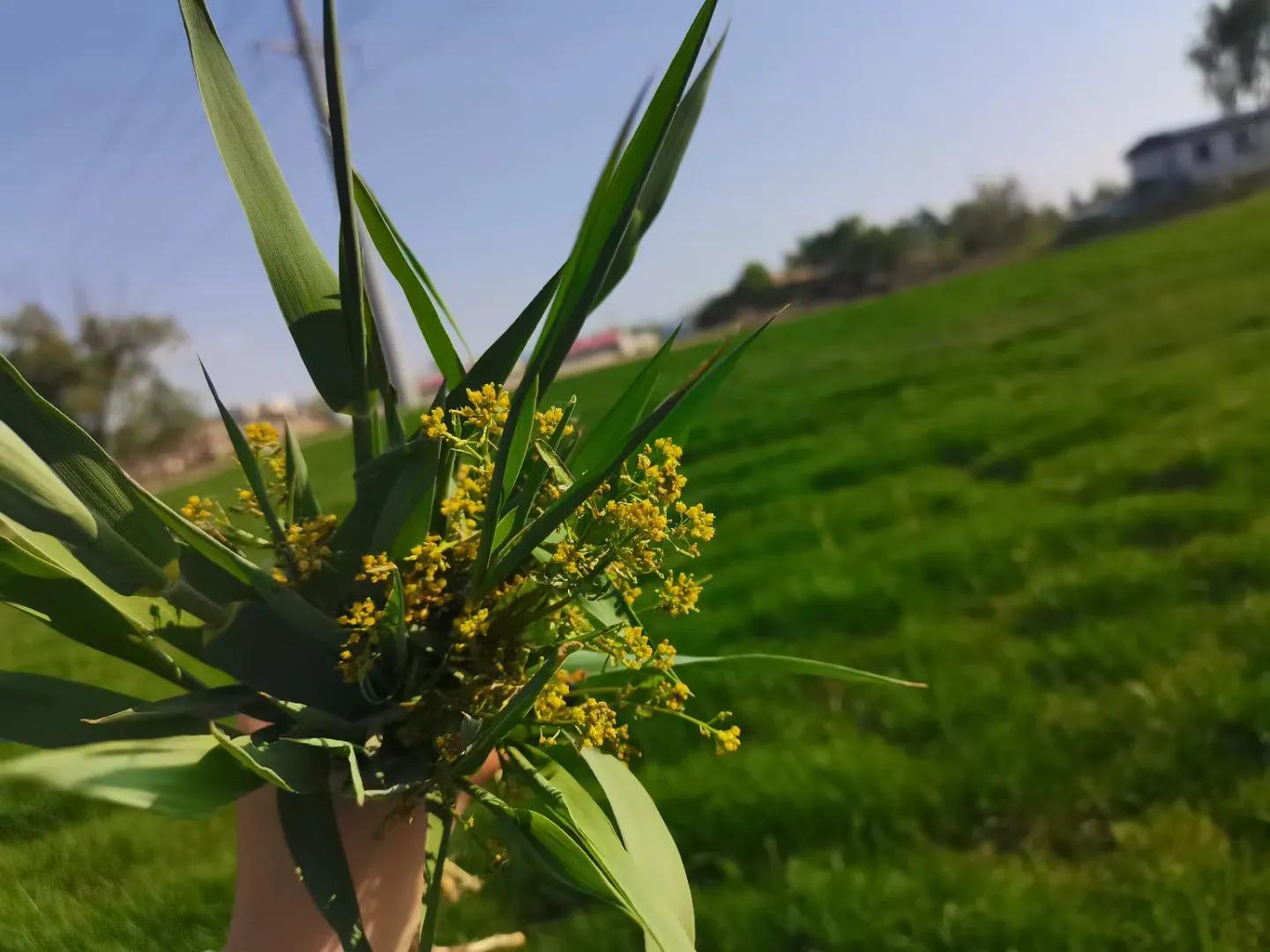 蹇靛垵鏃跺厜鍐滃満鐢佃瘽,蹇靛垵鏃跺厜浜插瓙鍐滃満
