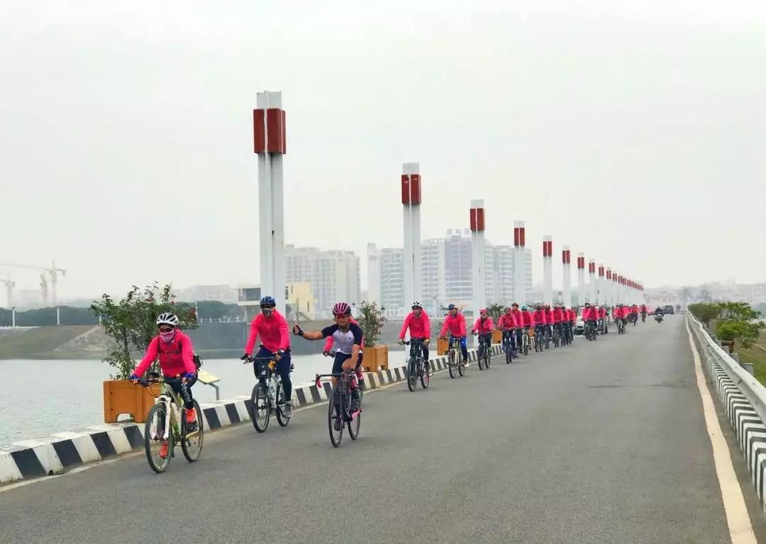 从凭票供应到人人共享，一辆自行车勾起*江阳**人多少记忆？