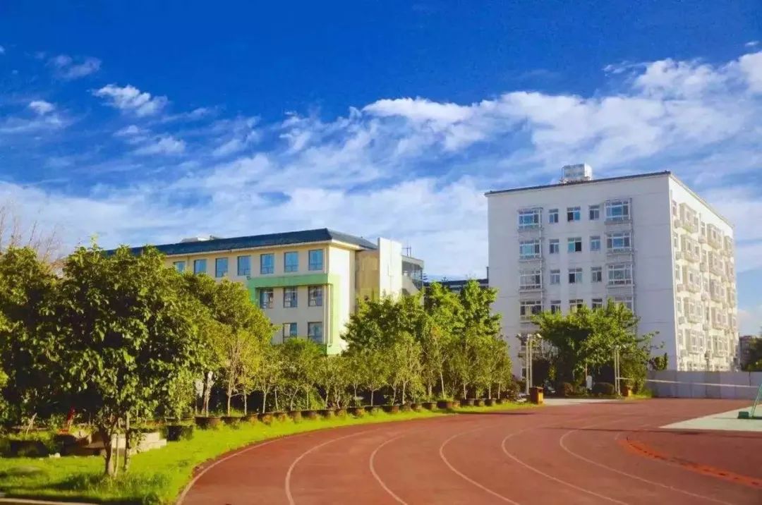 武清区最新发展消息,武清区这些年的发展趋势