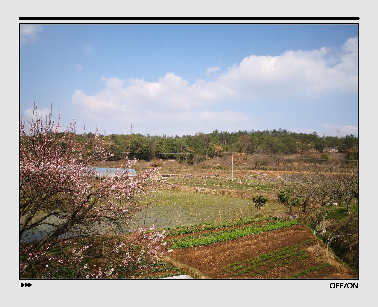 试解孙策出生地之谜：兼*公论**职人员回避制度