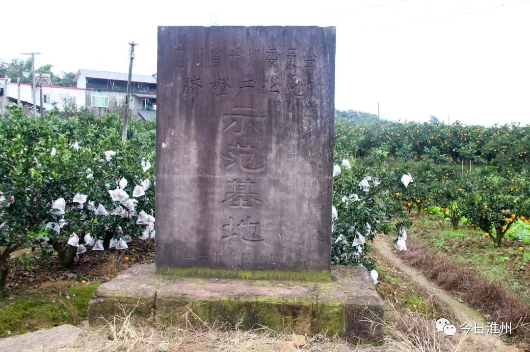 淮口景区,淮口附近旅游景区推荐一下