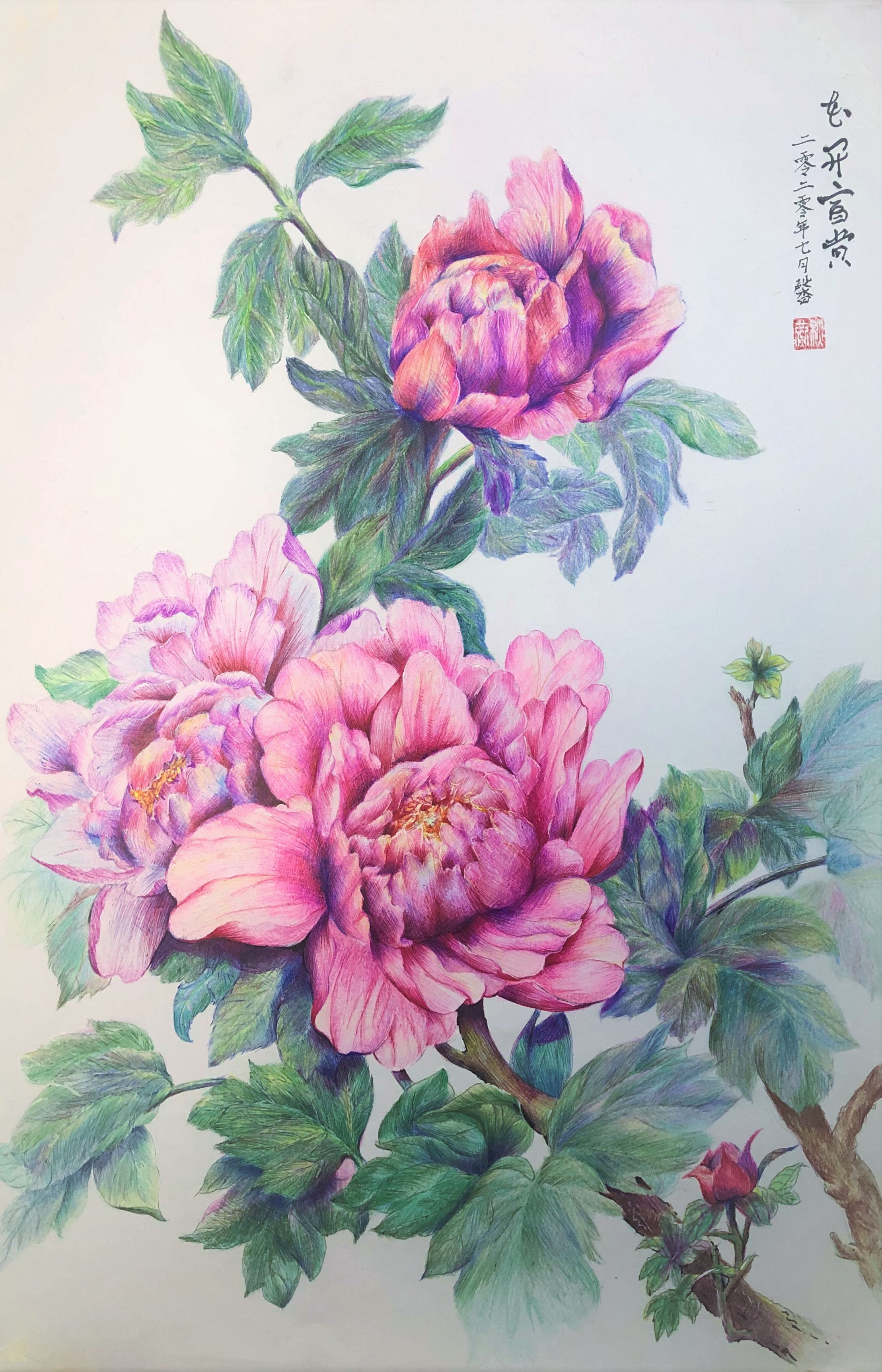 圆珠笔画牡丹教学,圆珠笔画牡丹的画法