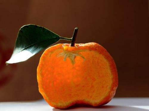 撕碎橘子皮,撕碎的橘子皮可以干嘛