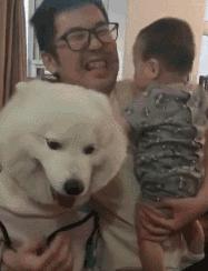 狗吃醋起来比男朋友还难哄,狗子这才是哄女朋友的正确方式