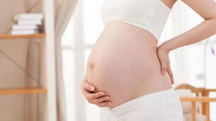 孕早期到孕晚期内脏变化对比图,怀孕后胎儿把肠子挤到哪里了