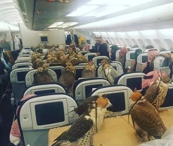 迪拜最有钱的是谁,为什么迪拜人有钱