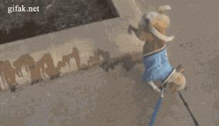 少林功夫搞笑视频老电影,少林功夫停车gif