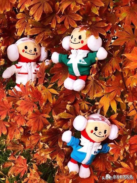 101中学和上地实验学校,上地中学和上地实验学校