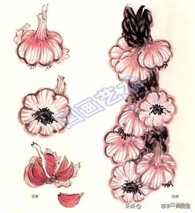 八种常见蔬菜画法,各种蔬菜画法