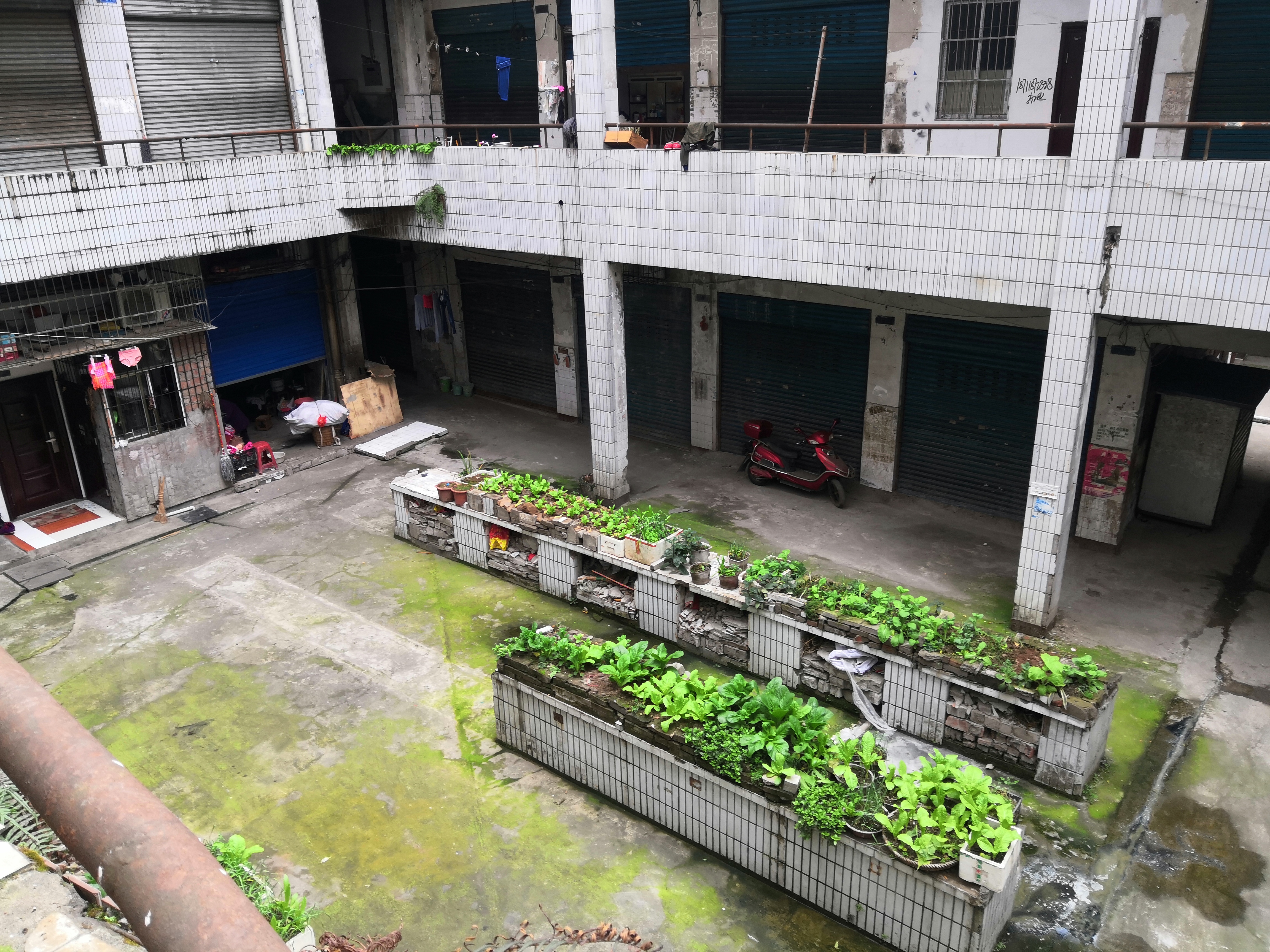 万州五桥宁波路江南大市场,万州区五桥江南大市场