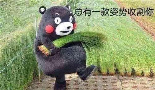 外盘期货真假辨别方法,期货看盘基础知识