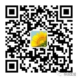 热带观赏鱼哪种容易养,热带小型观赏鱼饲养难易程度排名