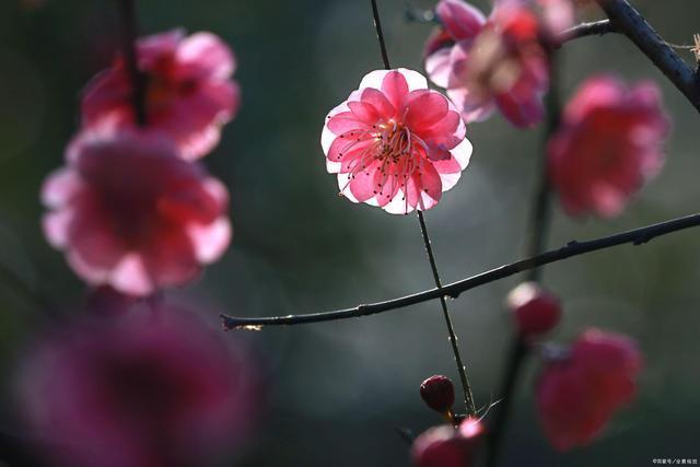 于中华泰康,于中华河南
