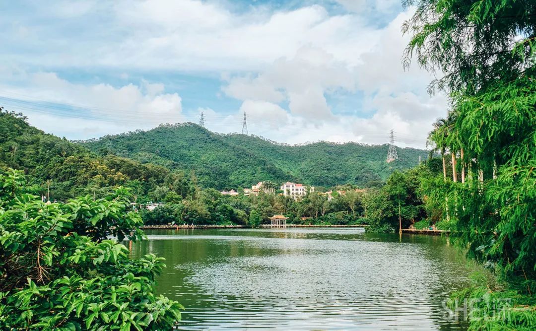 罗湖发达吗,罗湖区的实力到底有多强