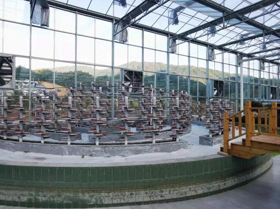 带你江西奉新看菜去，去了绝对不后悔