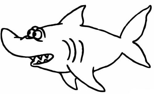 单凭一个鲨鱼皮就想抗菌，这智商税我交不起