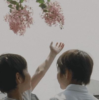 你以什么样的态度对待世界,夜读一个人的最好状态