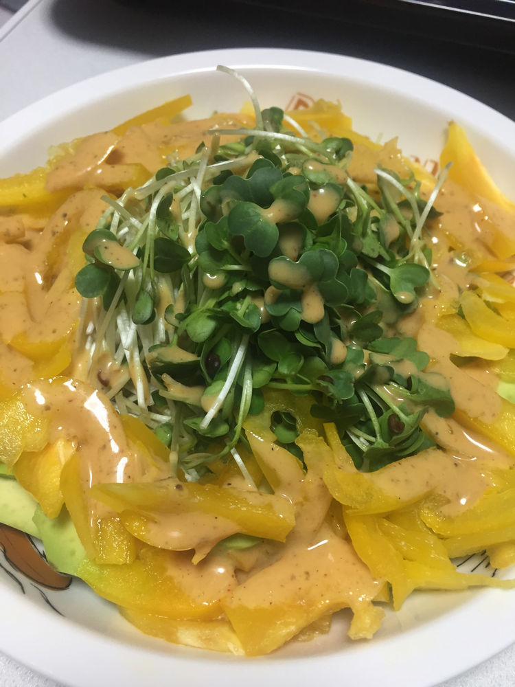 蔬鑫源芽苗菜加盟,芽苗菜加盟有前景吗