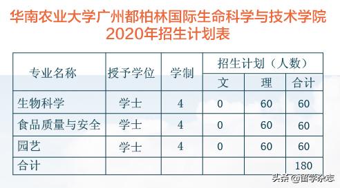 性价比高的国际教育,性价比高的国际高中