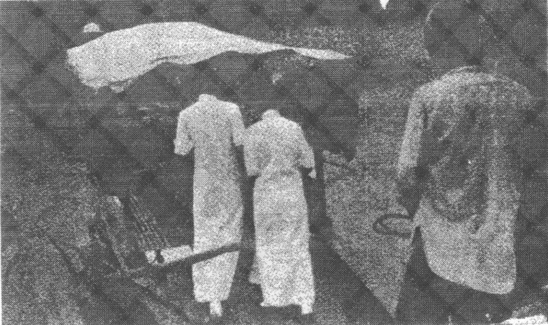 我印象中的北碚,北碚人眼里的北碚