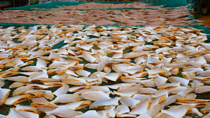 湛江遂溪角头沙旅游攻略,湛江江洪镇旅游攻略