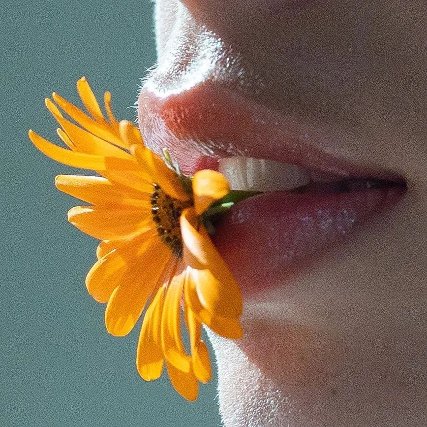 这些情而不色的「局部特写」,也太高级了吧