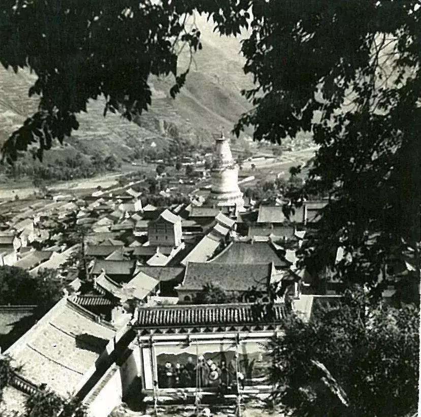 你可能没见过的姓氏,你可能没见过的日语