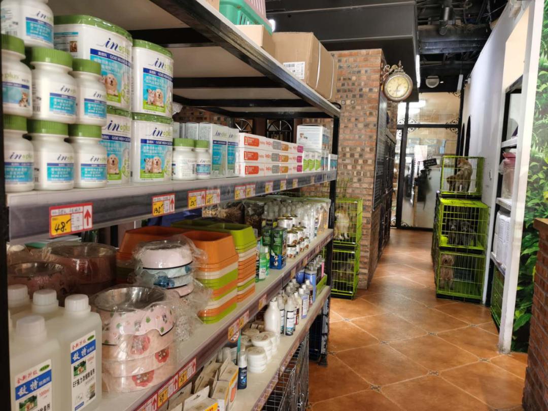 北京宠物店月流水,北京开宠物猫店渠道有哪些