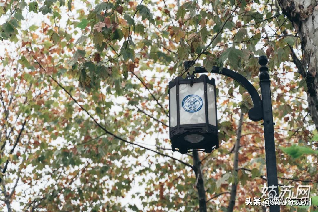 苏州有一条南京路,苏州古城区步行路线