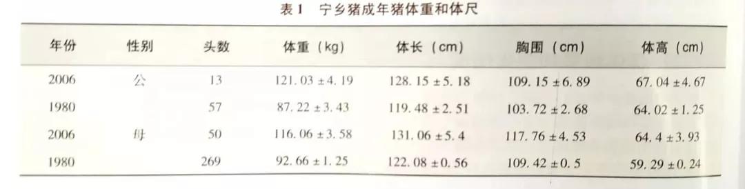 该猪种曾被联合国粮农《遗传资源》杂志选为封面,并向全世界推介