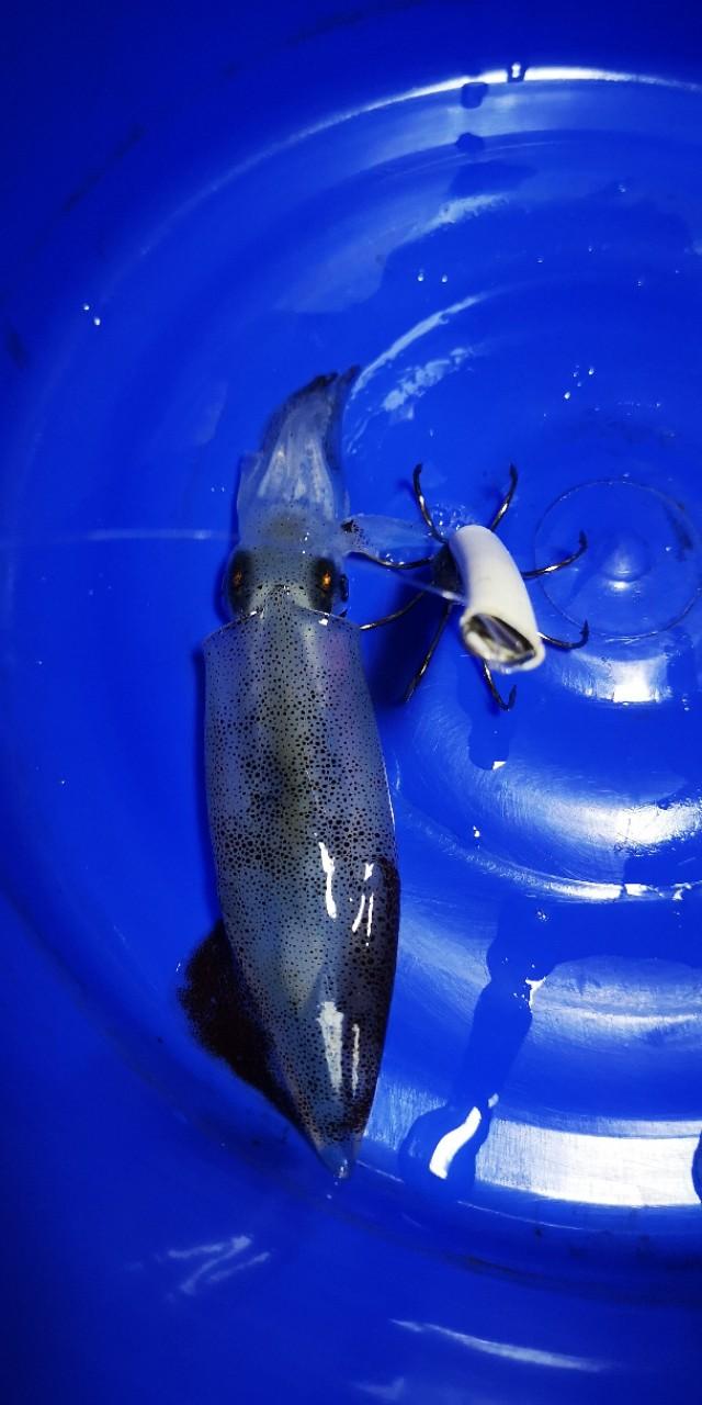 香港西贡游记下,香港最后一天去哪玩好