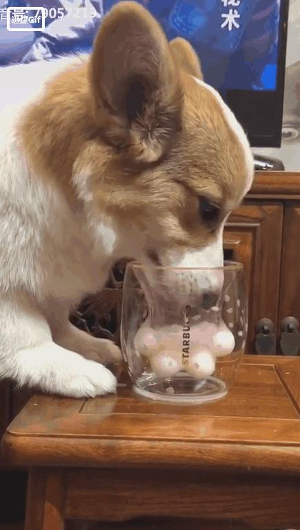 猫爪杯星巴克粉的,猫爪杯紫色和粉色