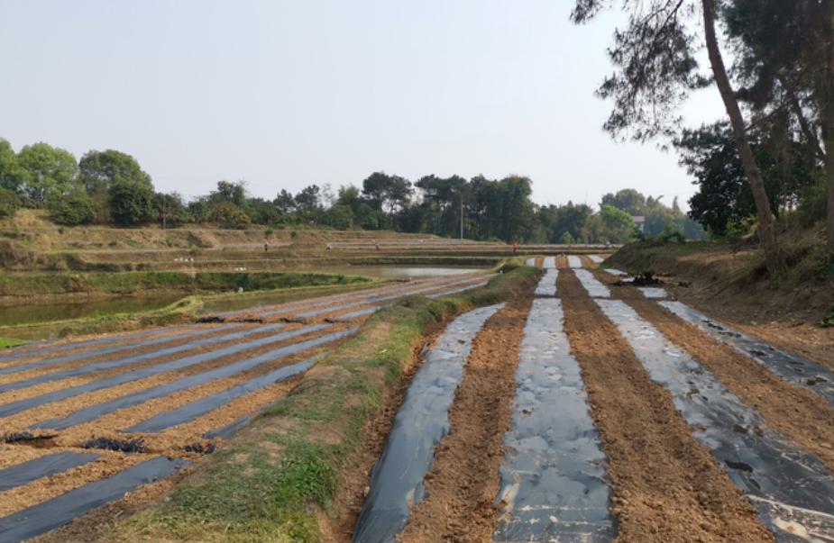 贫困户50万扶贫资金的应用,富顺县社会扶贫工作