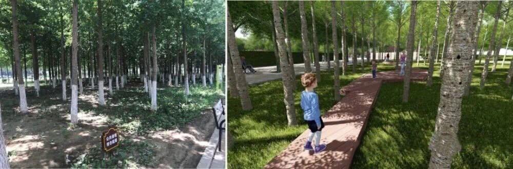 昌平新城滨河森林公园足球场,昌平未来科技城足球场