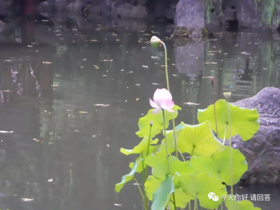 求职计划1500字,个人求职计划2000