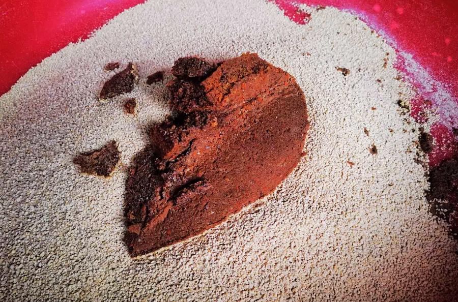 养鸡100万致富经视频,900元养鸡养猪