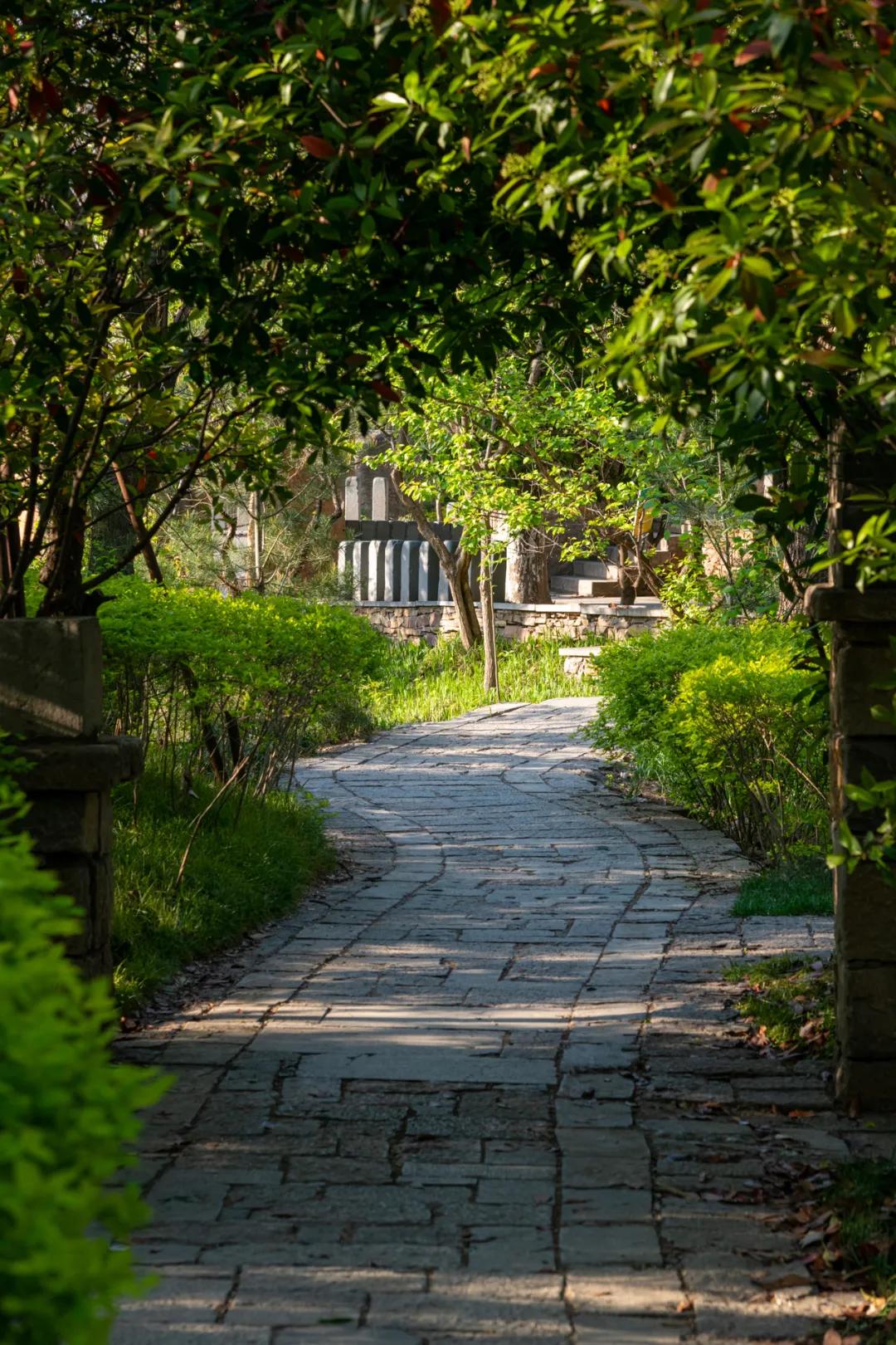 盛夏必去的网红打卡地,暑假适合去的网红打卡地