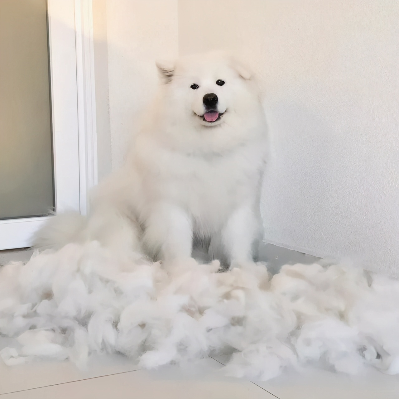 人类全身褪去毛发后，为什么只留下头发、阴毛和腋毛？