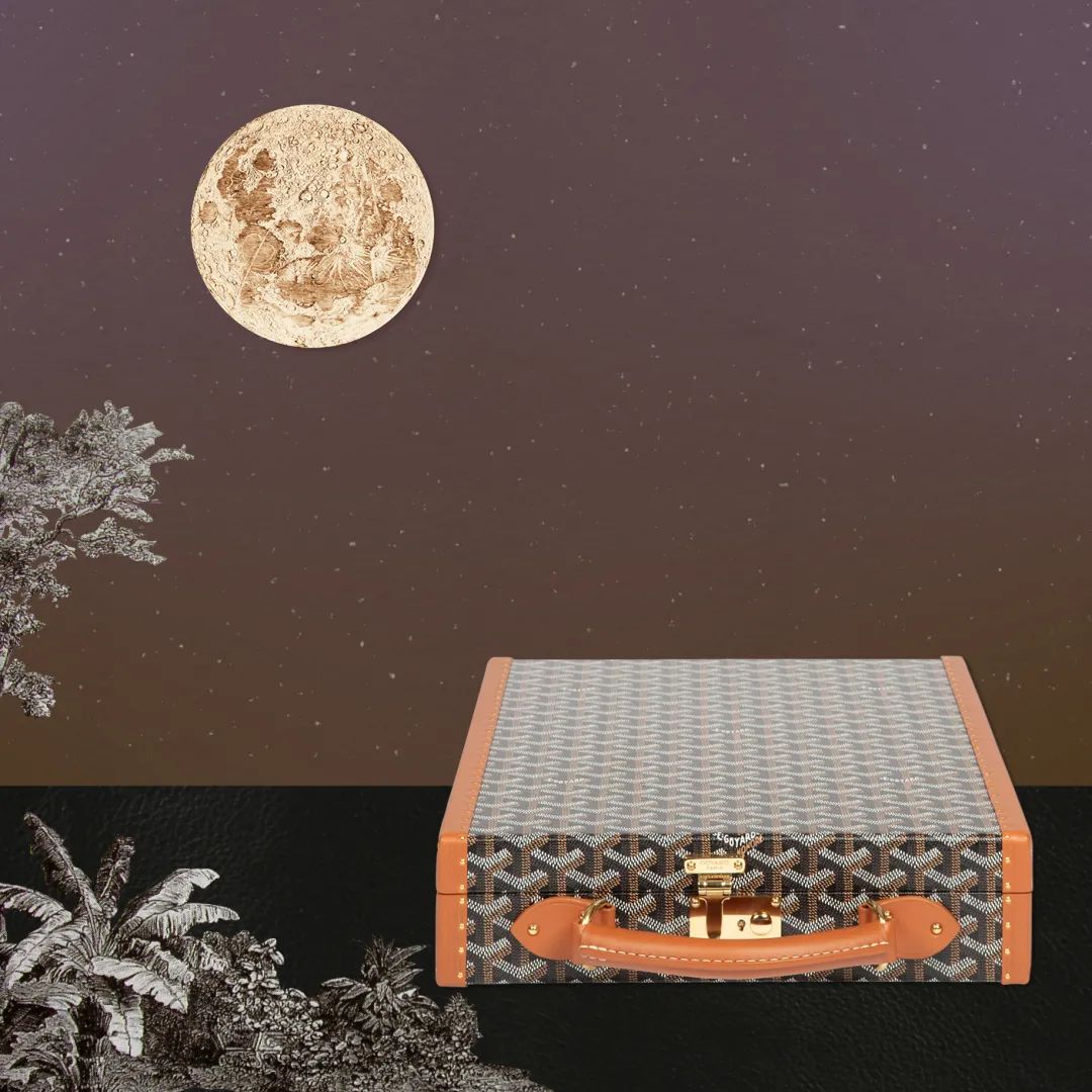 为披荆斩棘的哥哥打call的明星,明星为披荆斩棘的哥哥打call