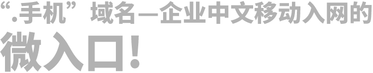 “XX.手机”中文域名,开创移动端入网新时代