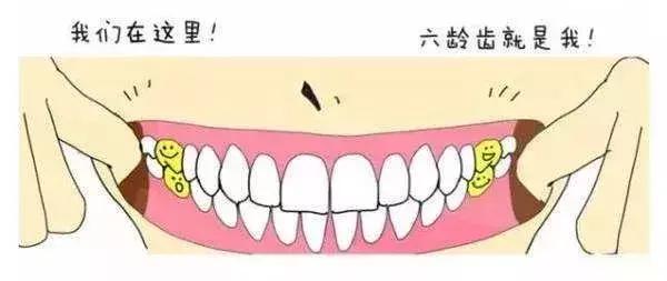 一颗牙齿歪了怎么矫正要多少钱,青少年一个牙齿歪了有必要矫正吗