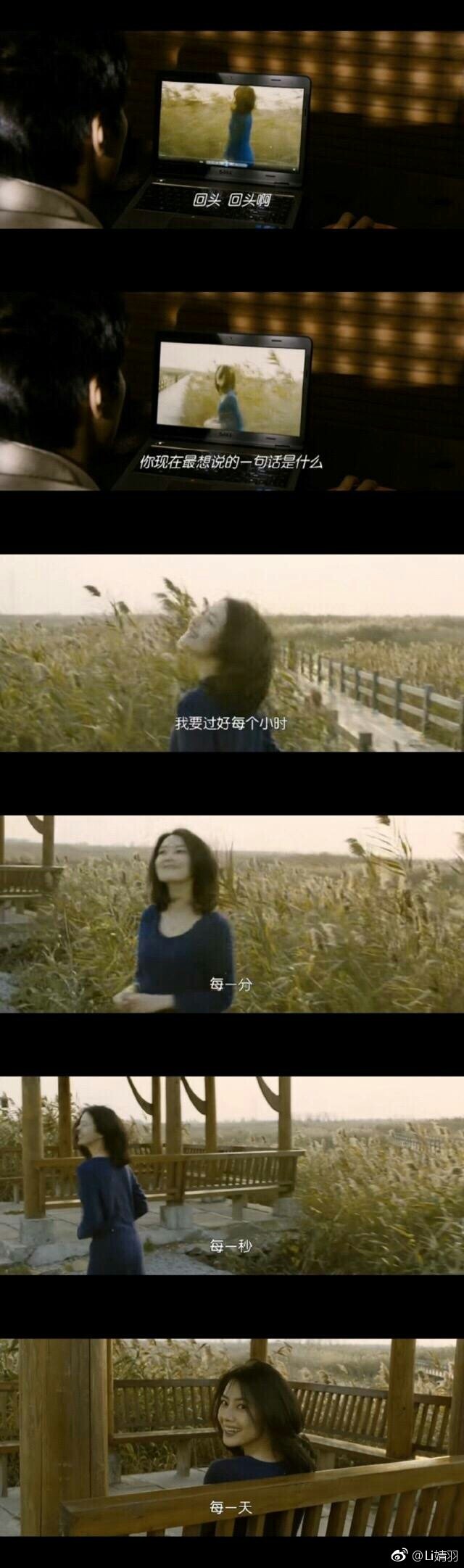 新闻采访失真的案例,搜索影评主题分析