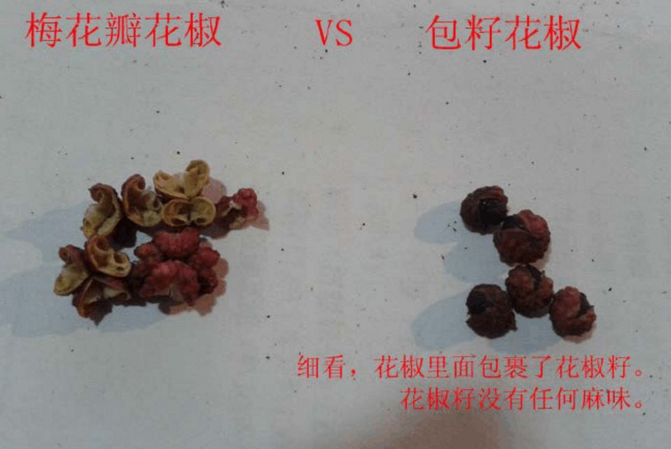 全国最正宗的花椒在哪里,花椒有几个品种哪个最好吃