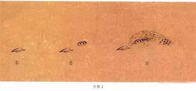 苏百钧工笔国画教学视频,苏百钧花鸟白描画稿