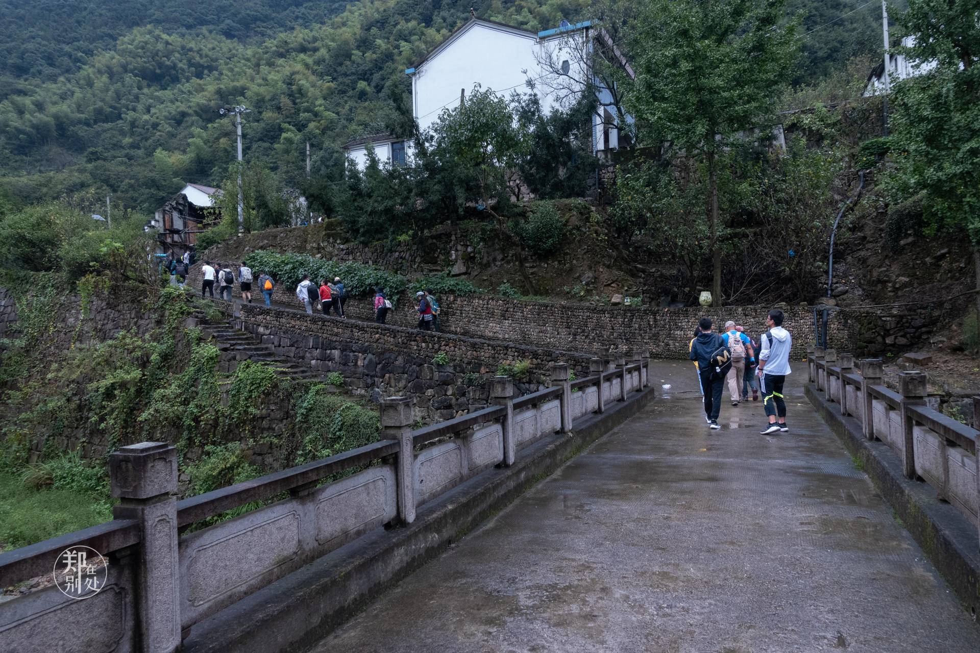 香榧古道,香榧古道徒步路线哪条景色美