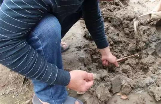 臭水塘变清水塘,臭水塘改造成景观