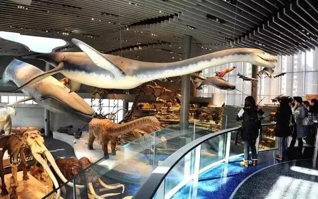 上海站到上海新国际博览中心地铁,上海地铁沿线景点排名