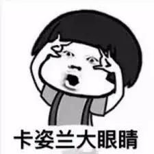 猫狗营养品,猫狗药品营养品